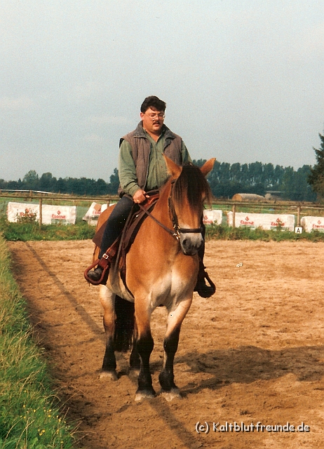 od reiten5.jpg